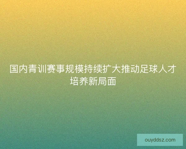 国内青训赛事规模持续扩大推动足球人才培养新局面